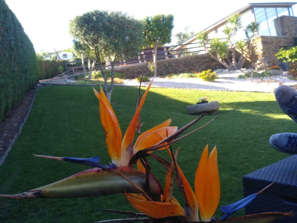 Canastro Country House Castelo de Paiva Ngoại thất bức ảnh