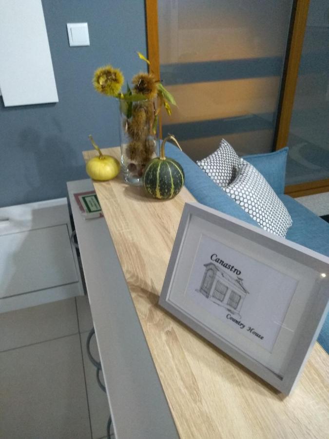 Canastro Country House Castelo de Paiva Ngoại thất bức ảnh